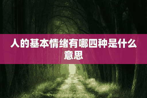 人的基本情绪有哪四种是什么意思